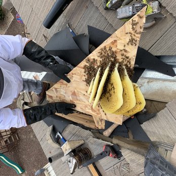 AA-Beekeeper - Thanks AA-Beekeeper! - Pest Control Near Me