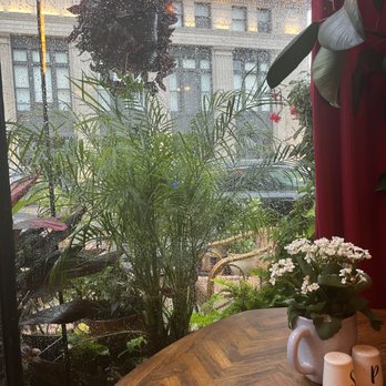 Juiced What You Needed - Inside looking out into the rain - Juice Bars & Smoothies Near Me - Memphis, Tennessee Juiced What You Needed - Inside looking out into the rain - Juice Bars & Smoothies Near Me - Memphis, Tennessee