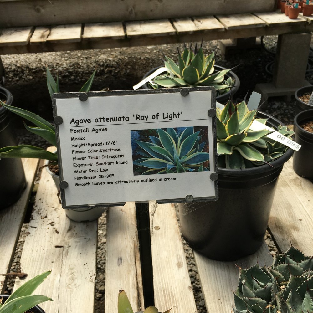 Half Moon Bay Nursery - Nurseries & Gardening Near Me - Half Moon Bay, California