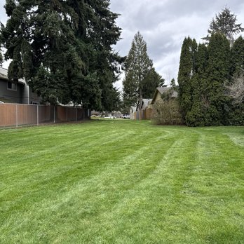 A Fresh Cut - Side green - Lawn Services Near Me A Fresh Cut - Side green - Lawn Services Near Me