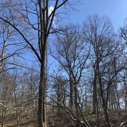 Kennedy Heights Park