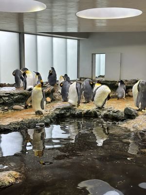 Zoo Basel by null