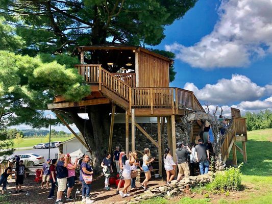 Angry Orchard Cider House by null