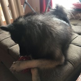After grooming After grooming