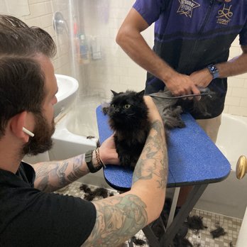Groomit - This is the groomer and my boyfriend who was required to help in order to get the job done. - Pet Groomers Near Me Groomit - This is the groomer and my boyfriend who was required to help in order to get the job done. - Pet Groomers Near Me