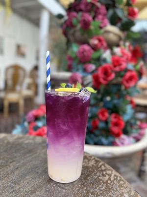 Queen Violet WeHo by null