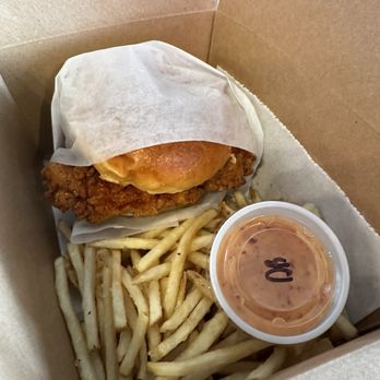 Dirty Byrd - Southern Heat - Chicken Shop Near Me - Brandon, Florida