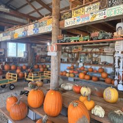 Silver Spring Pumpkin Farm - Pumpkins with train set up