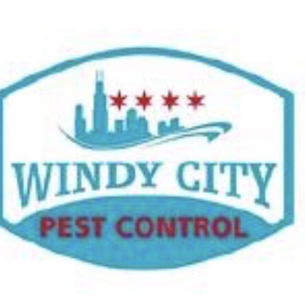 Windy City Bed Bug Specialists - Pest Control Near Me - Chicago, Illinois Windy City Bed Bug Specialists - Pest Control Near Me - Chicago, Illinois