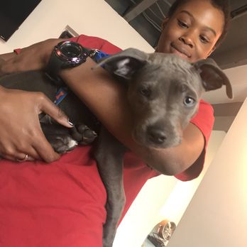 Girls Auto Clinic - A little visitor to the store while I was there! - Auto Repair Near Me - Upper Darby, Pennsylvania