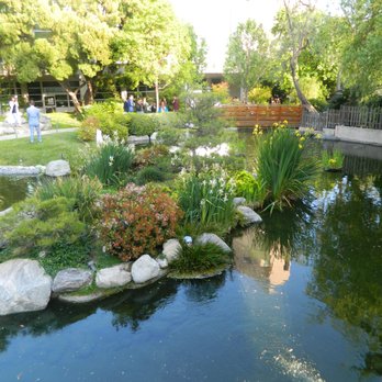 Cal Poly Pomona - Nice pond with a few fishes and turtles - Colleges & Universities Near Me - Pomona, California Cal Poly Pomona - Nice pond with a few fishes and turtles - Colleges & Universities Near Me - Pomona, California