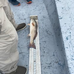 Wood’s Guide Service