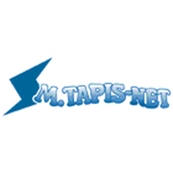 Division Ventilation Monsieur Tapis-Net