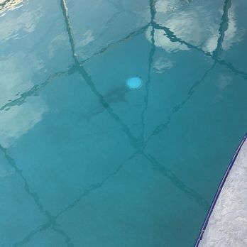 Pristine Pool Services - Cloudy pool water and dirty pool floor. - Pool Cleaners Near Me Pristine Pool Services - Cloudy pool water and dirty pool floor. - Pool Cleaners Near Me