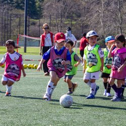 Euro Soccer USA