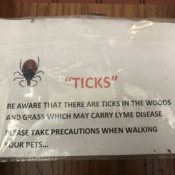 Hanscom AFB FamCamp - Ticks - Campgrounds Near Me - Bedford, Massachusetts Hanscom AFB FamCamp - Ticks - Campgrounds Near Me - Bedford, Massachusetts