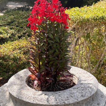 Shore Acres State Park - Urn planting - Parks Near Me Shore Acres State Park - Urn planting - Parks Near Me