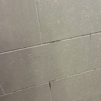 The Cheshire - Mold all over the bathroom tiles. - Hotels Near Me - St. Louis, Missouri The Cheshire - Mold all over the bathroom tiles. - Hotels Near Me - St. Louis, Missouri