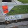Photo of Curb Address Painting