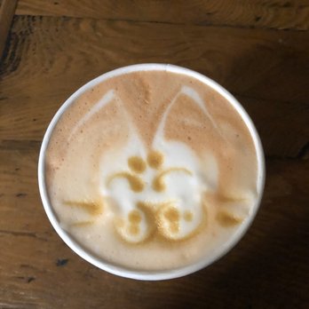 Seattle Meowtropolitan - I shall call him: Luna - Themed Cafes Near Me - Seattle, Washington Seattle Meowtropolitan - I shall call him: Luna - Themed Cafes Near Me - Seattle, Washington