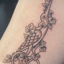 The Aviary Tattoo Shop - Bird scissors tattoo