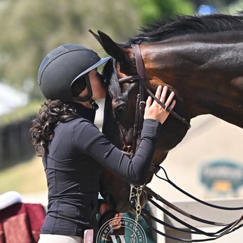 Five Star Equestrian - Woodside Spring - Horse Boarding Near Me - Pleasanton, California