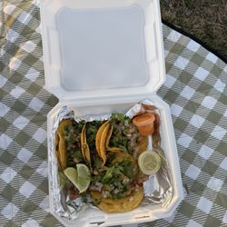 Taste of Potosi - Chicken street tacos