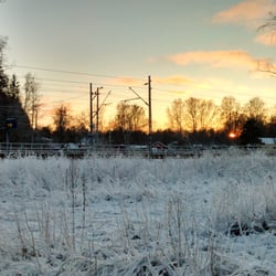 Mankki