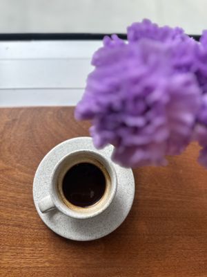 Magdalena Coffee & Houseplants by null