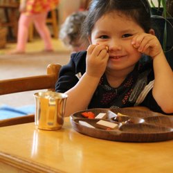 Harmony Montessori School