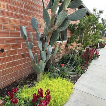 Zinc House Farm - Attraction Farms Near Me - Escalon, California