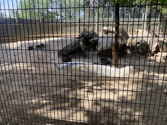 zoo Applegate Park Zoo, 1045 W 25th St, Merced, CA 95340, US