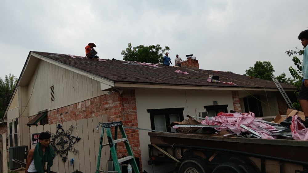 Slide of The Roof Goose