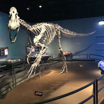 Field Museum - Museums Near Me - Chicago, Illinois