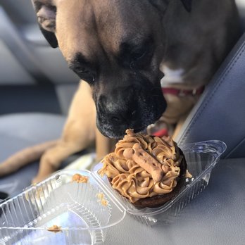 Chris' Bakery - The best dog cake my dog has ever had! - Bakeries Near Me - Oak Harbor, Washington