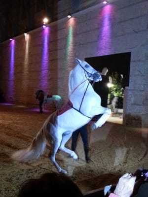 Caballerizas Reales by null