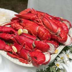 Cosmos Catering