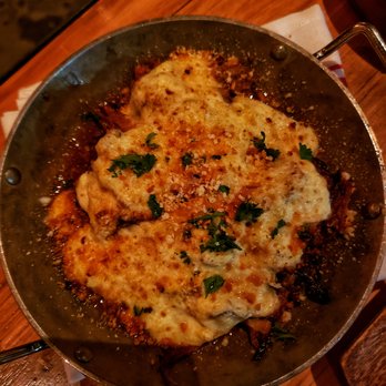 Committee - Pastitsio bolognese. - Mediterranean Near Me - Boston, Massachusetts