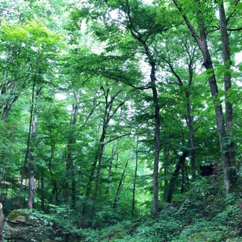 Grandview State Park - Hiking Near Me - Beaver, West Virginia Grandview State Park - Hiking Near Me - Beaver, West Virginia