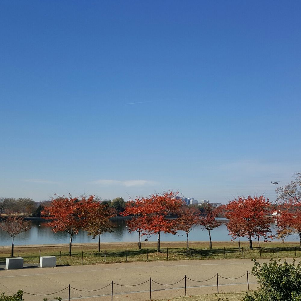 Jefferson Memorial - Fall 2016. - Landmarks & Historical Buildings Near Me - Washington, DC, District of Columbia Jefferson Memorial - Fall 2016. - Landmarks & Historical Buildings Near Me - Washington, DC, District of Columbia