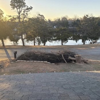 Terra Landworks - Before - Tree Services Near Me Terra Landworks - Before - Tree Services Near Me