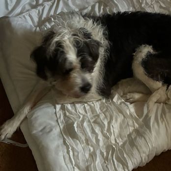 Marketplace Cleaners - Macy is quite happy her bed is clean. - Laundry Services Near Me - San Marcos, California Marketplace Cleaners - Macy is quite happy her bed is clean. - Laundry Services Near Me - San Marcos, California