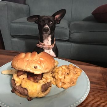 Boston Burger - A puppy and her Burgabox.com (No, she didn't really eat the burga) - Burgers Near Me - Boston, Massachusetts