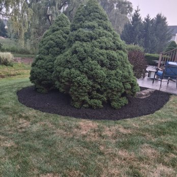 The Bush Guy Landscaping - Landscaping Near Me - Dellroy, Ohio The Bush Guy Landscaping - Landscaping Near Me - Dellroy, Ohio