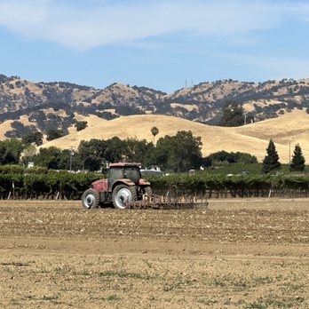 Wooden Valley Winery - Wineries Near Me - Fairfield, California Wooden Valley Winery - Wineries Near Me - Fairfield, California