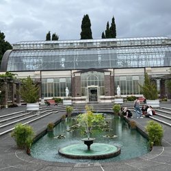 Auckland Domain Wintergardens - The wintergarden