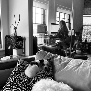 Burst Creative Group - Web Design Near Me - New Westminster, British Columbia