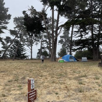 New Brighton Campground - Good morning! - Campgrounds Near Me - Aptos, California