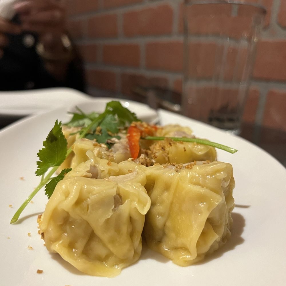 Natta Thai - two dumplings on a white plate - Thai Near Me - Vienna, Virginia