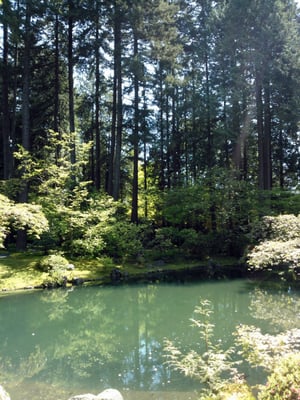 Nitobe Memorial Garden by null